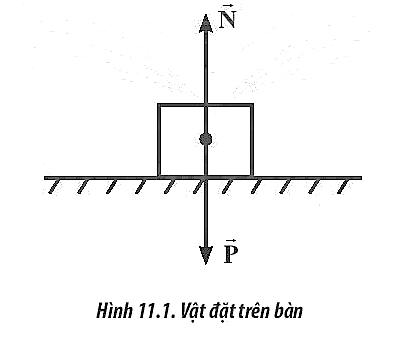 Hình minh họa câu hỏi